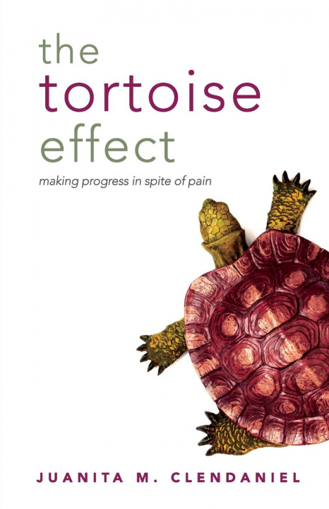 Knjiga The Tortoise Effect Juanita M. Clendaniel