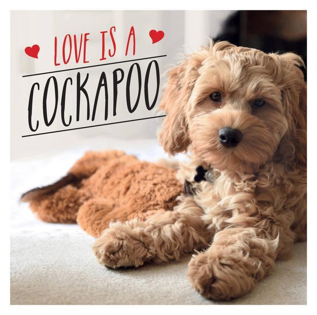 Książka Love is a Cockapoo 