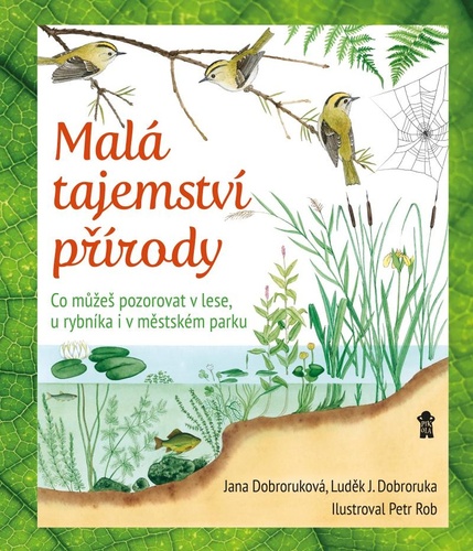 Könyv Malá tajemství přírody Jana Dobroruková