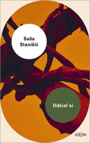 Książka Odkiaľ si Saša Stanišić
