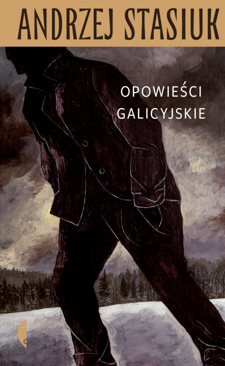 Kniha Opowieści galicyjskie wyd. 2021 Andrzej Stasiuk