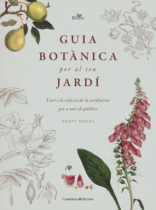 Kniha Guia botànica per al teu jardí GEOFF HODGE