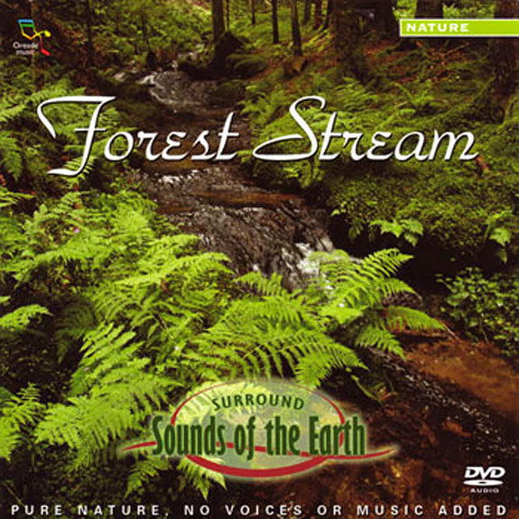 Zvok Forest Stream 