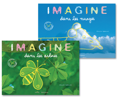 Buch IMAGINE CECILE GABRIEL