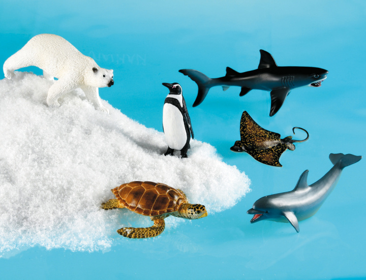 Knjiga Animaux marins 