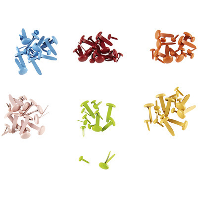Knjiga Attaches parisiennes multicolores 