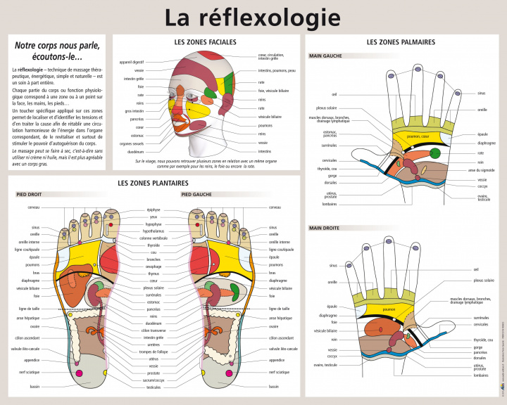 Articles imprimés La réflexologie 