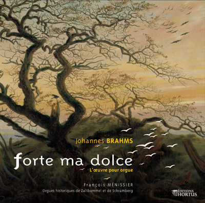 Digitalno Forte ma dolce - CD JOHANNES BRAHMS