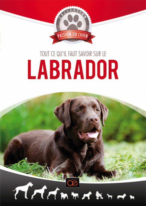 Film LABRADOR 