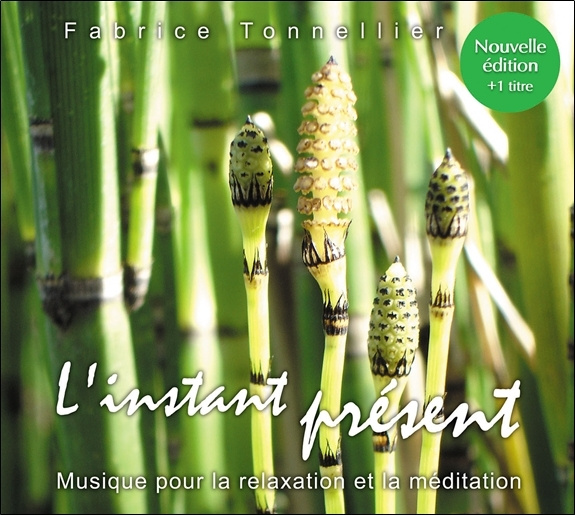 Zvok L'instant présent : Nouvelle Edition 