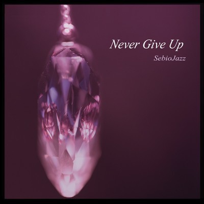 Audio  NEVER GIVE UP FT CAROLIN