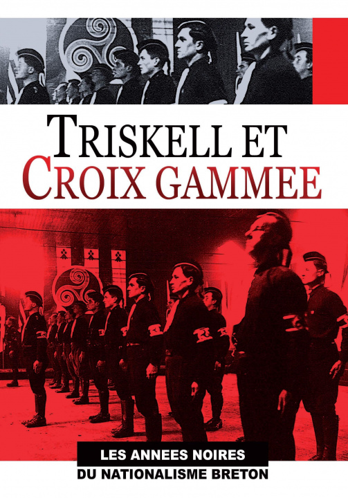 Video TRISKELL ET CROIX GAMMEE - DVD MARTIN GABRIEL