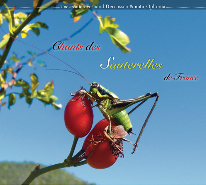 Digital Chants des sauterelles de France (CD+LIVRET) Deroussen
