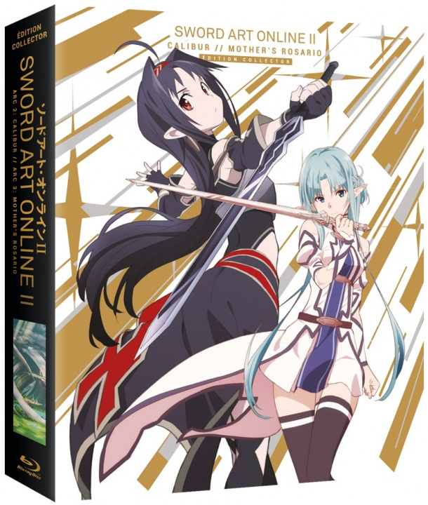 Video Sword Art Online II - Arc 2 et 3 - BR renseigné