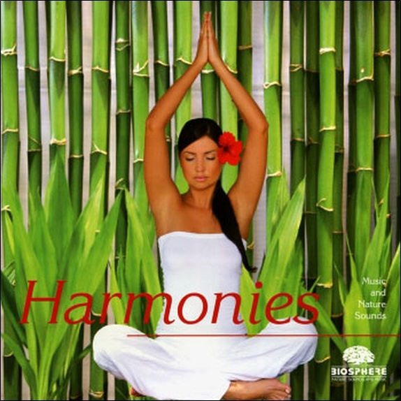 Zvok Harmonies Compilation Artists