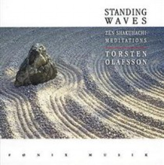 Zvok Standing Waves 