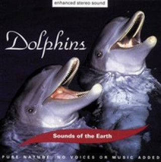 Áudio Dolphins 