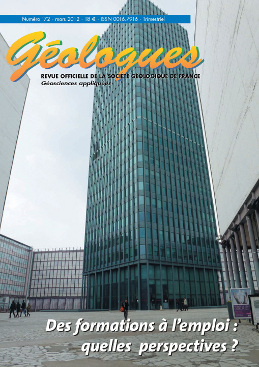 Boek Des formations à l'emploi :  quelles perspectives ? 
