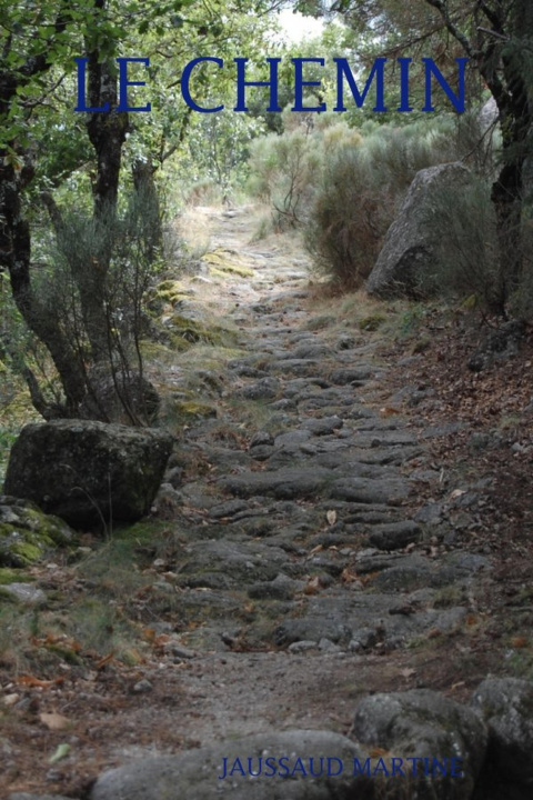 Boek LE CHEMIN JAUSSAUD MARTINE