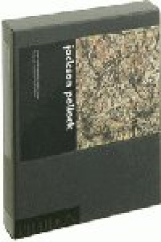 Knjiga POLLOCK JACKSON  VIDEO EVANS K