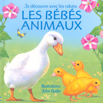 Buch BEBES ANIMAUX Judy Tatchell