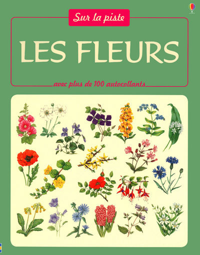 Kniha FLEURS Lisa Miles