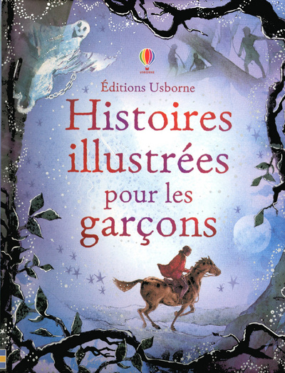 Libro Histoires illustrées pour les garcons Rachel Firth