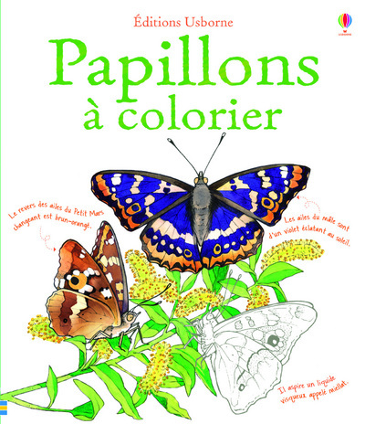 Kniha Papillons à colorier Megan Cullis