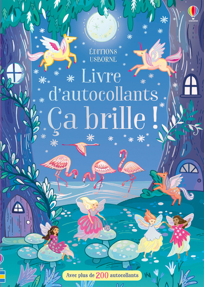 Knjiga Ca brille ! - Livre d'autocollants Fiona Patchett