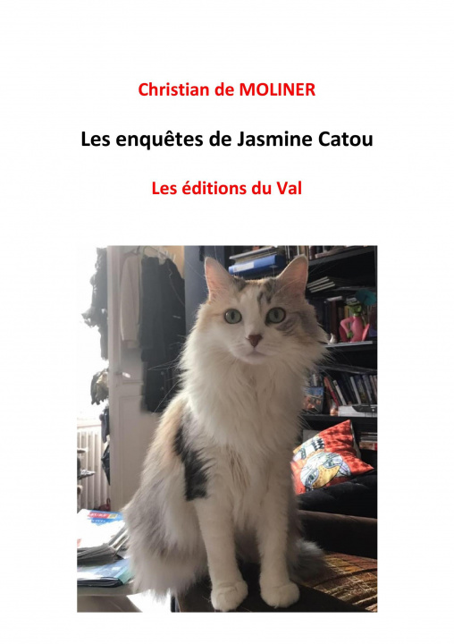 Kniha Les enquêtes de Jasmine Catou Christian