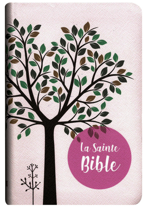 Kniha BIBLE SEGOND 1910 (ROSE) 