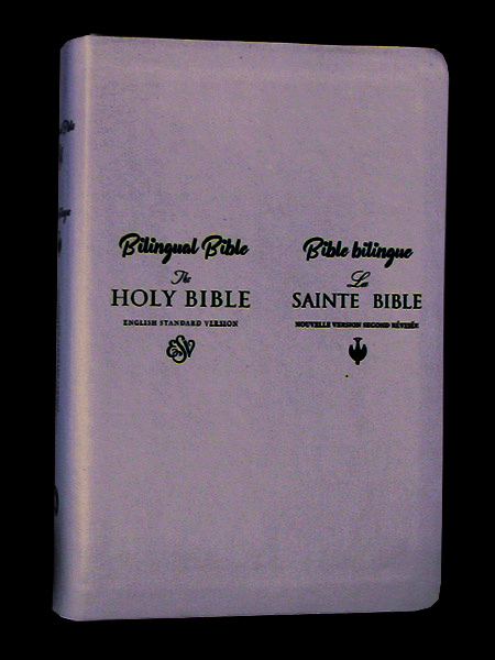 Книга BIBLE BILINGUE LA SAINTE  BIBLE ANGLAIS-FRANCAIS (COLOMBE) 