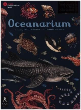Kniha Oceanarium Loveday Trinick