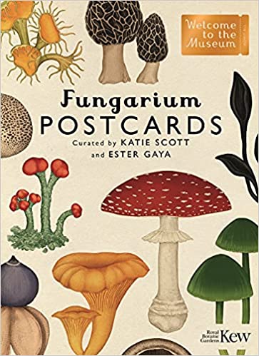 Nyomtatványok Fungarium Postcards 