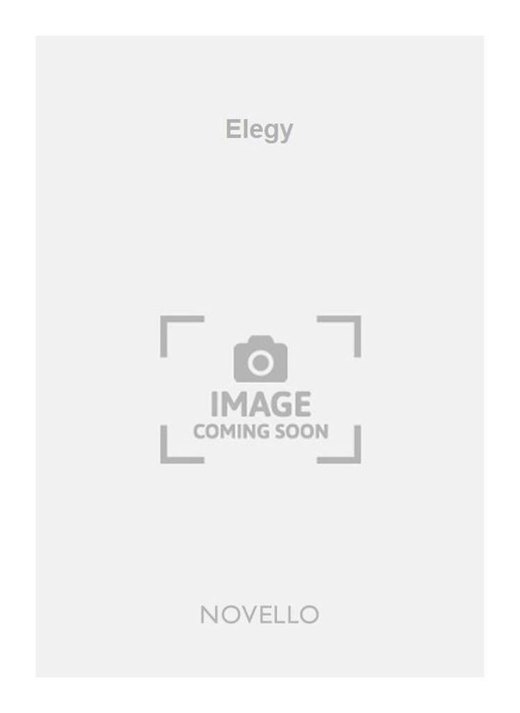 Buch PETER DICKINSON: ELEGY DICKINSON