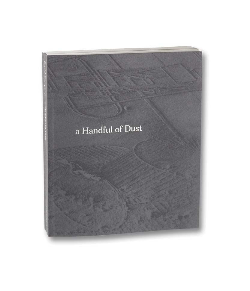 Kniha A Handful of Dust (English Edition) David Campany