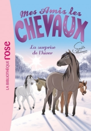 Kniha Mes amis les chevaux 07 - La surprise de l'hiver Sophie Thalmann