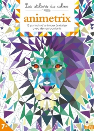 Libro Animetrix - cahier avec autocollants 