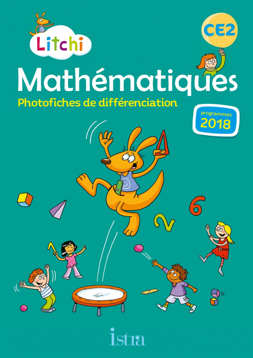 Kniha Litchi Mathématiques CE2 - Photofiches - Ed. 2020 Didier Fritz