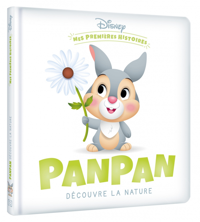 Carte DISNEY - Mes Premières Histoires - Panpan découvre la nature 