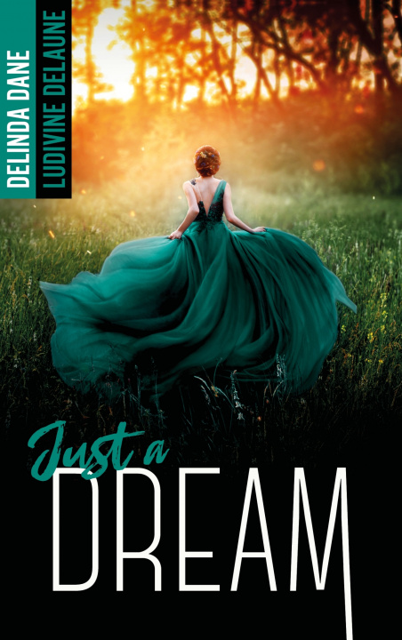 Boek Just a dream Ludivine Delaune