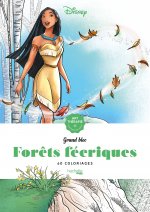 Kniha Les grands blocs Disney Forêts féeriques 