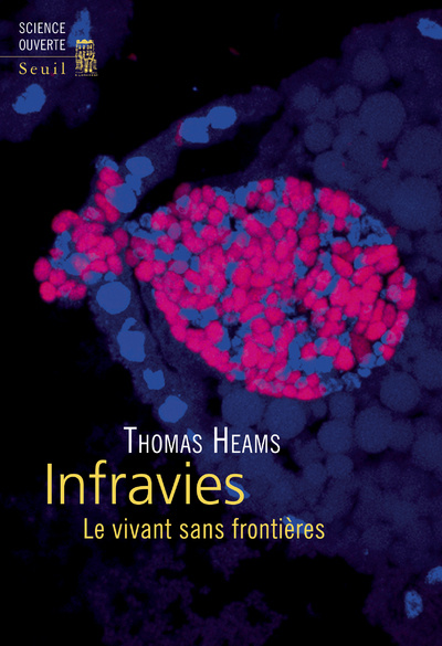 Könyv Infravies Thomas Heams