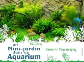 Kniha Un mini jardin dans un aquarium Pierre Yang