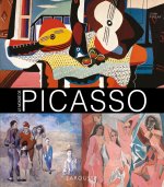 Könyv Picasso John Finlay