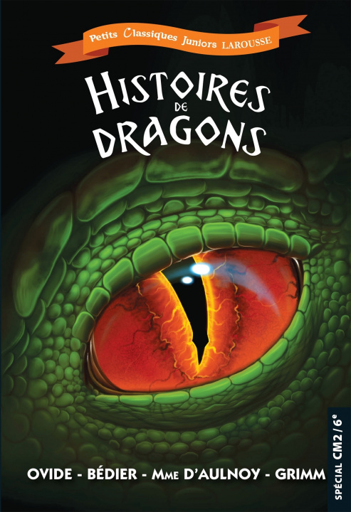 Kniha Histoires de dragons Catherine Mory
