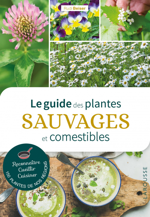 Kniha Le guide des plantes sauvages et comestibles Rudi BEISER