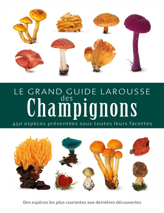 Carte Le grand guide Larousse des champignons Thomas Laessoe