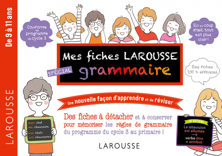 Carte Mes fiches Larousse spécial grammaire - De 7 à 11 ans Daniel Berlion