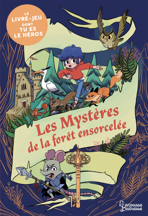 Könyv Les mystères de la forêt ensorcelée - énigmes et jeux Laureen Bouyssou
